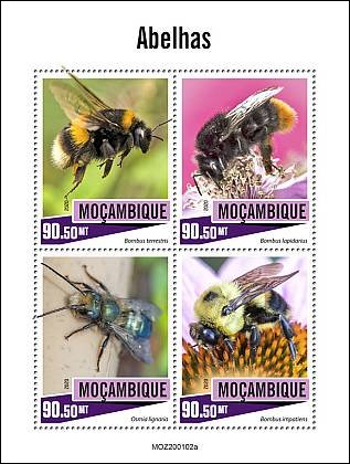 Mozambique - 2022 Magnus Carlsen and Chess - Stamp Souvenir Sheet -  MOZ220116b2