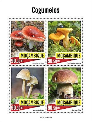 Mozambique Stamps 2022 MNH World Chess Champion Magnus Carlsen Souvenir  Sheet